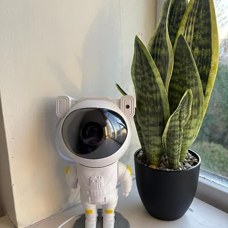 Δωμάτια σε οικογενειακή κατοικία The Superior Center