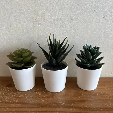 The Superior Center Δουβλίνο