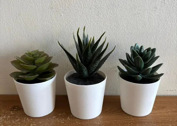 The Superior Center Δουβλίνο